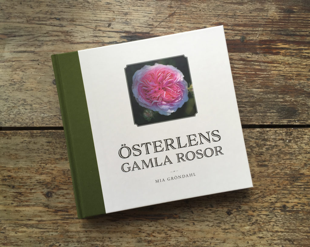 Österlens Gamla Rosor - av Mia Gröndahl Foto: Lars Rabe